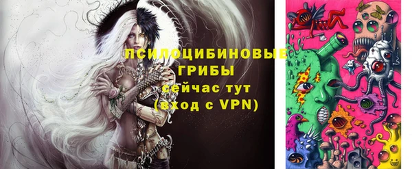 ешки Алзамай