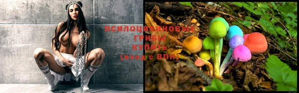 ешки Алзамай