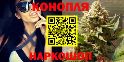 сатива Гусь-Хрустальный
