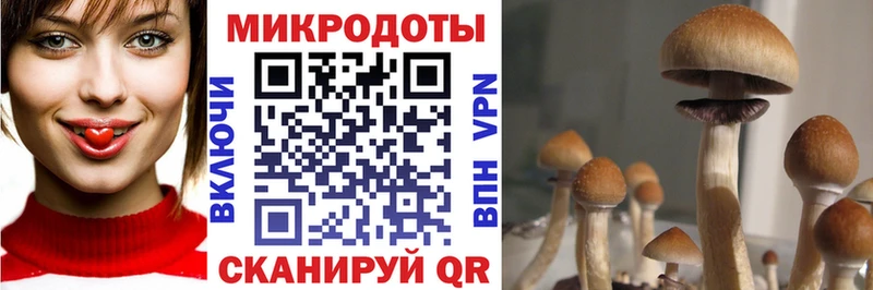 Галлюциногенные грибы прущие грибы Лабытнанги