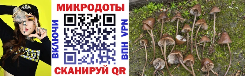 KRAKEN сайт Лабытнанги Галлюциногенные грибы Magic Shrooms хочу