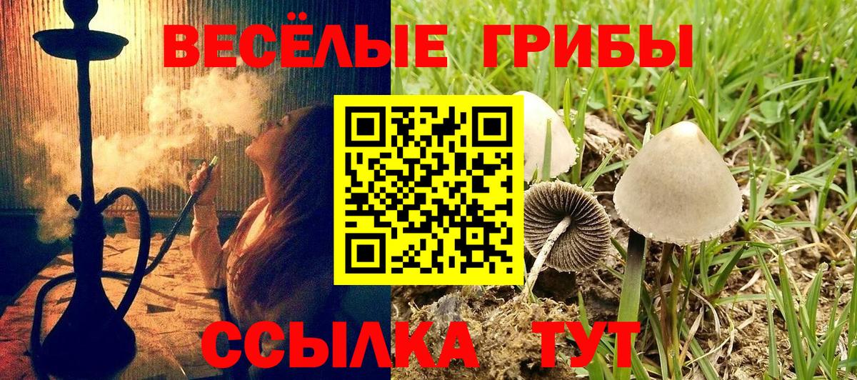 Псилоцибиновые грибы Cubensis Лабытнанги